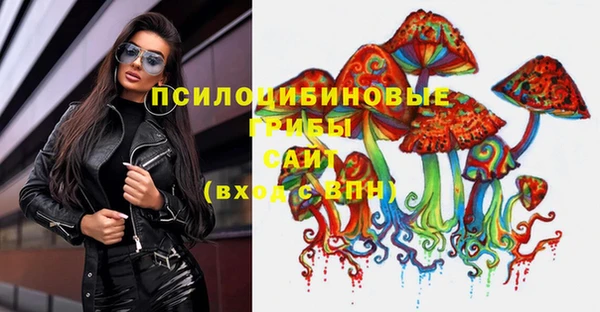гидра Алзамай