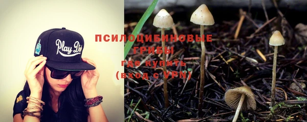 эйфоретик Алексин