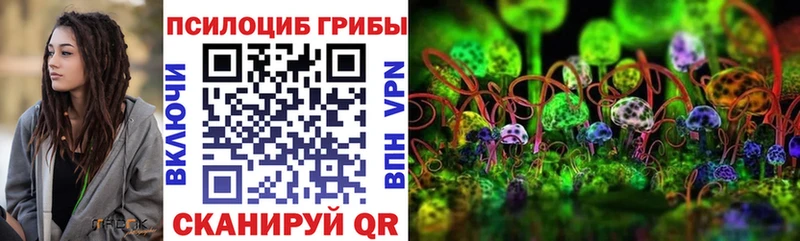 Псилоцибиновые грибы GOLDEN TEACHER  Кинель 