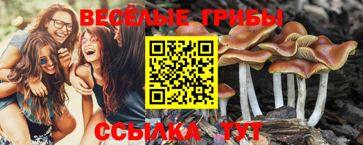 Галлюциногенные грибы прущие грибы  Галлюциногенные грибы Cubensis  Вход с VPN  Кинель 