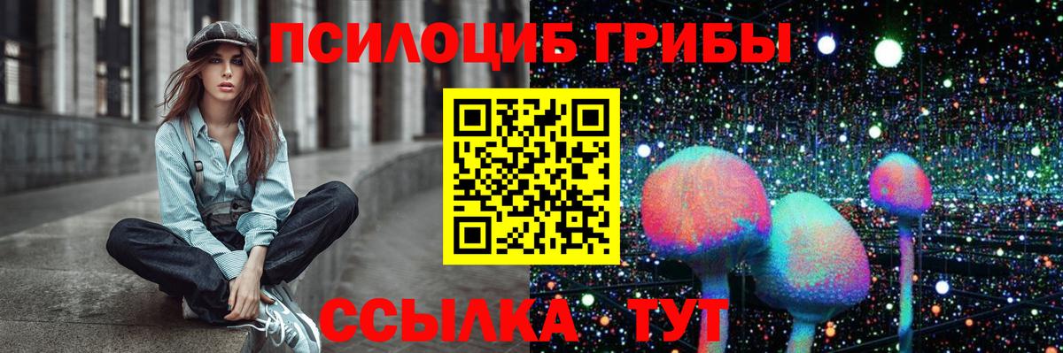 Псилоцибиновые грибы мицелий Кинель